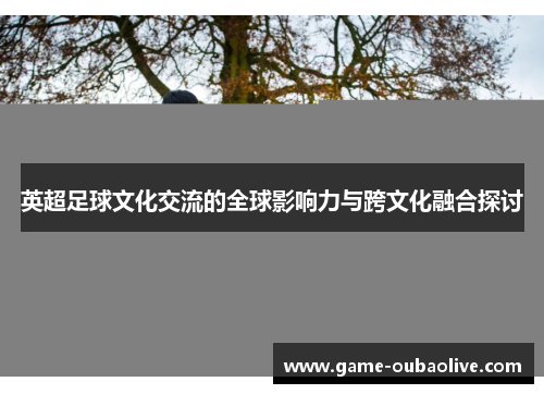 英超足球文化交流的全球影响力与跨文化融合探讨