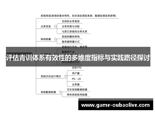 评估青训体系有效性的多维度指标与实践路径探讨