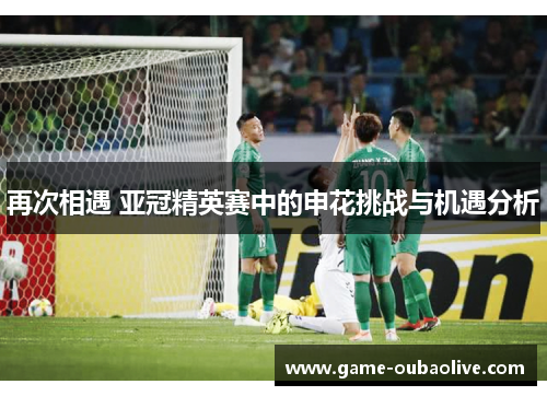再次相遇 亚冠精英赛中的申花挑战与机遇分析