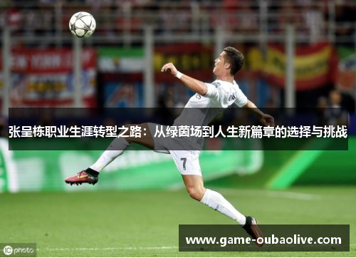 张呈栋职业生涯转型之路：从绿茵场到人生新篇章的选择与挑战