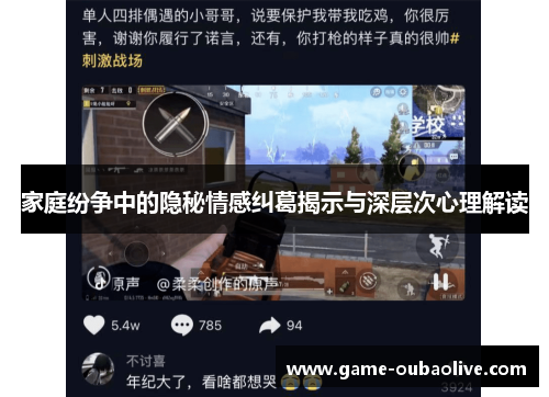 家庭纷争中的隐秘情感纠葛揭示与深层次心理解读